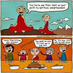 2025-12-02:  Meeting the Judgmental Mind (Swann)