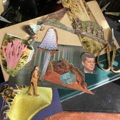 the eastern wall of my parents home