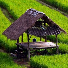 Rumors (Extended Club Miix)