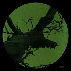 Pasiphae II