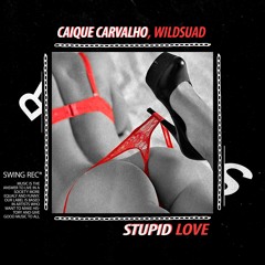 Caique Carvalho, Wildsuad - Stupid Love (Original Mix)