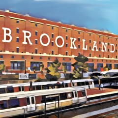 [ BM6 OUT 7/21 ] The Brookland Mix Vol. 1