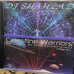 Celestine Warriors (A Light in the Darkness)
