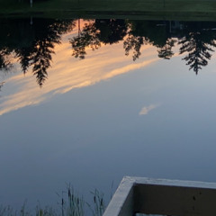 lab group-old ways//lavier-plug me in/EDIT