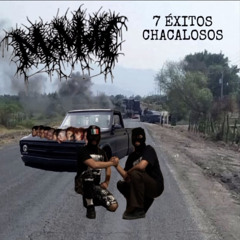 7 ÉXITOS CHACALOSOS - MxMxMx