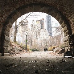 Trumpet in the Park