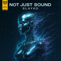 Not Just Sound