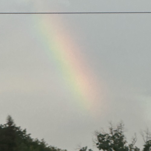 glitched my life away