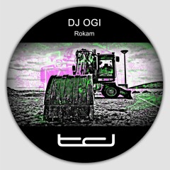 DJ Ogi - Rokam