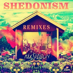 Max Sedgley - I Want Your Soul (Smoove Remix Instrumental)