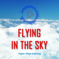 Flying In The Sky