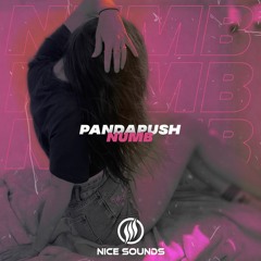 Pandapush - Numb