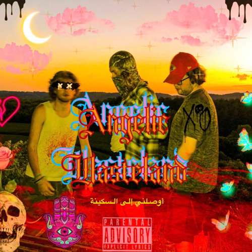 Stream Shadows Intro Feat Shadow By Icy Indica Igp Listen