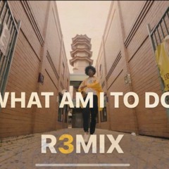 "What Am I To Do" Remix