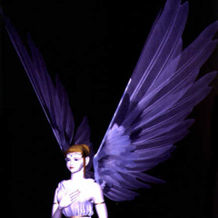 SEEING ANGELS