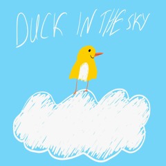 Duck In The Sky