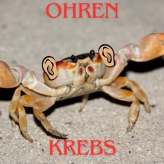 Kiss Me Again (Ohrenkrebs RMX) - (Orig. by Roy Bee)