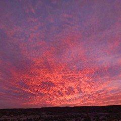 Pranarta - In Depth We Trust