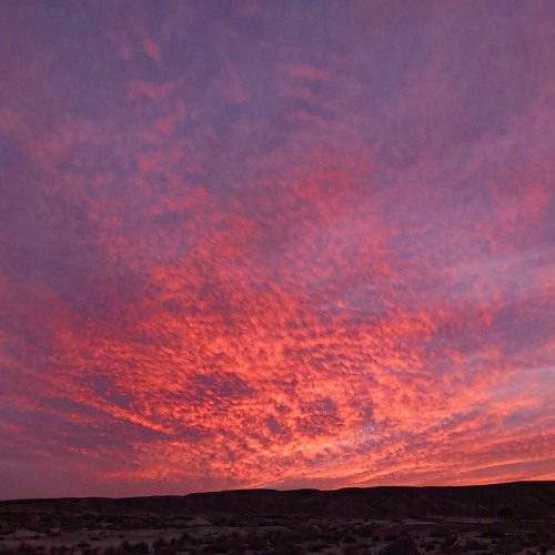 Pranarta - In Depth We Trust