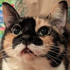 Wet Hands waiting for the warmth of spring