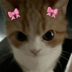 kawaii type neko