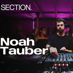 Noah Tauber | SECTION. | August 2025