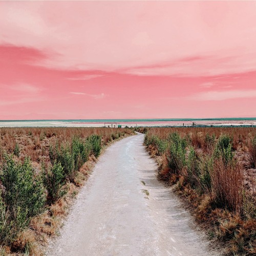 tuesday may 1 beach cruiser