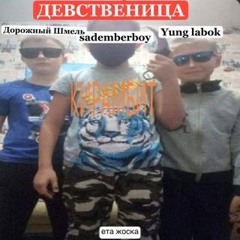 ДЕВСТВЕНИЦА