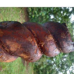 Juli Rivera-Viaje Al Centro Del Color (Álbum Inti Laikay)