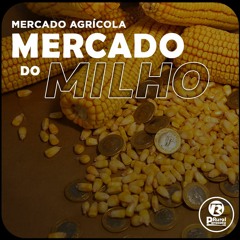 Mercado do MILHO 09-07-2022