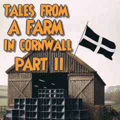 Tales From A Farm In Cornwall Part II- Free Party Hard Trance