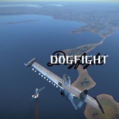 Dogfight
