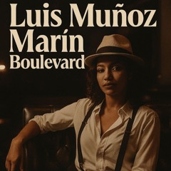 Luis Munoz Marin Boulevard