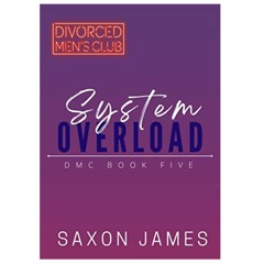 GET System Overload (Divorced Men's Club, #5) *[EPUB]