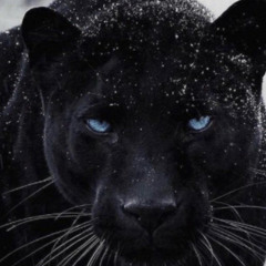 KINGS (Chad Wick Bosseman)