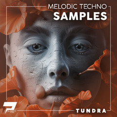 Tundra [Melodic Techno Samples]