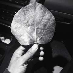 Fairuz _ Kan Ya Ma Kan