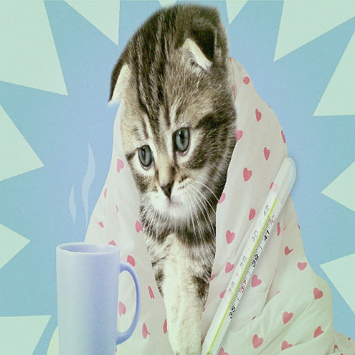 заболел (zepsoswag)