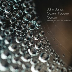 John Junior, Cosmin Fogoros - Caruso (PanoSigma AfroCaruso Remix)