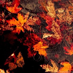 trentemøller's autumn playlist