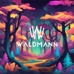 A journey through the woods // 155-162 BPM Trance/Acid/Hardtechno Extended Set