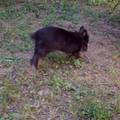 ancora un modo (???)