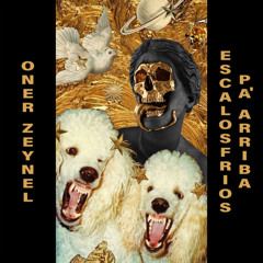 Oner Zeynel "Escalosfrios" (Snippet)