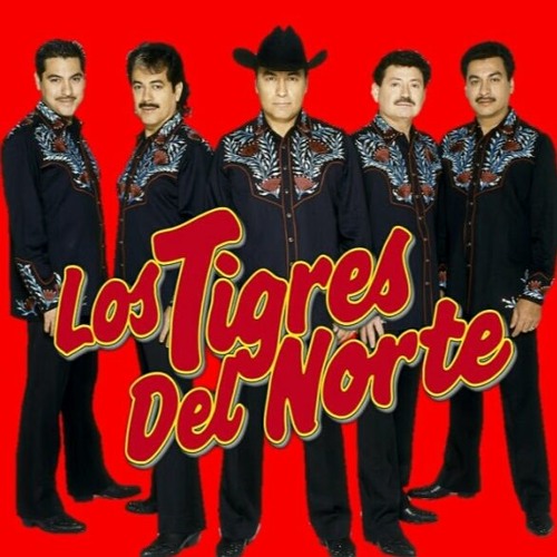 Stream Los Tigres Del Norte Discografia Completa Utorrent from Tioguoxpu |  Listen online for free on SoundCloud