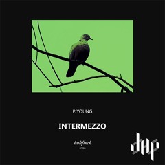 FULL PREMIERE : P.Young - Intermezzo [Bullfinch]