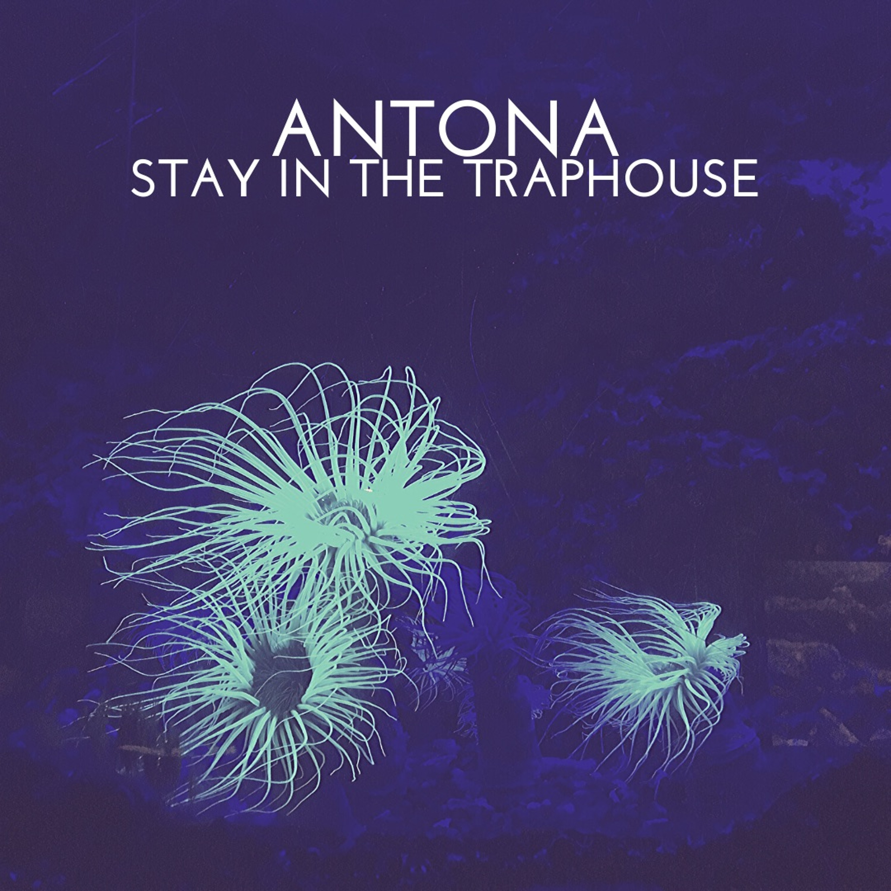 MIXTAPES ANTONA