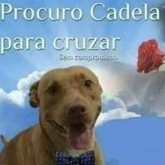 CHEGOU A HORA DO SAMPLEADAO - SE CONCENTRA VAI NOVINHA _thiagao.__ _DJNegodaZO(MP3_320K).mp3