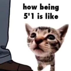 Limbus Company OST - Canto VII Boss Battle 2 Theme.mp3