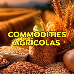 Produção de milho deve crescer em 2025 mas safra mundial será ajustada