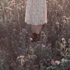 Nicole Dollanganger - In The Land [Cover]